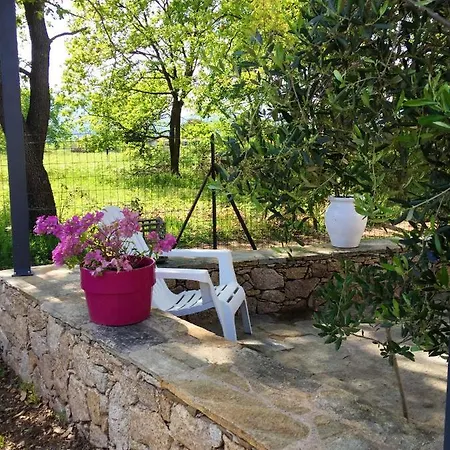 Studio Route De Pinarello Apartment Sorbo-Ocagnano